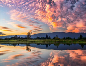 imtoken的trx名称叫什么