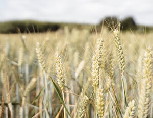 imtoken如何取消订单